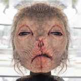 ...e la �Mother Creature�, un�impressionante maschera con le sembianze da pecora che si muove tramite radiocomandi